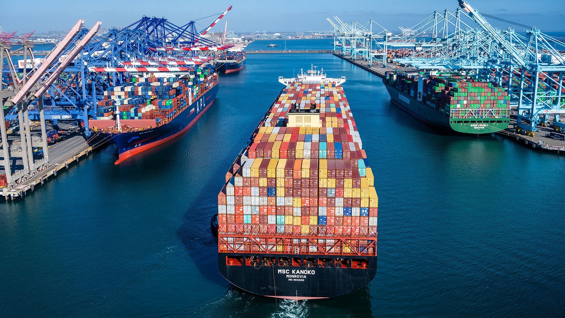July 2021 Shipment