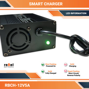 12 Volt LiFePO4 Lithium Charger for Lithium Iron Phosphate Batteries
